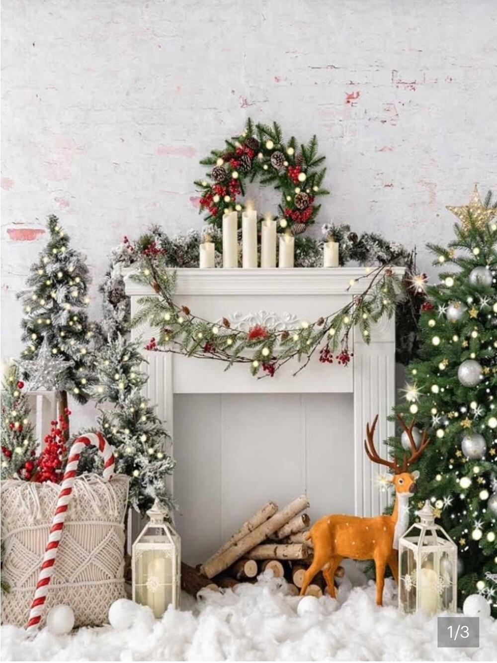 10x10 Holiday Backdrop for Photography